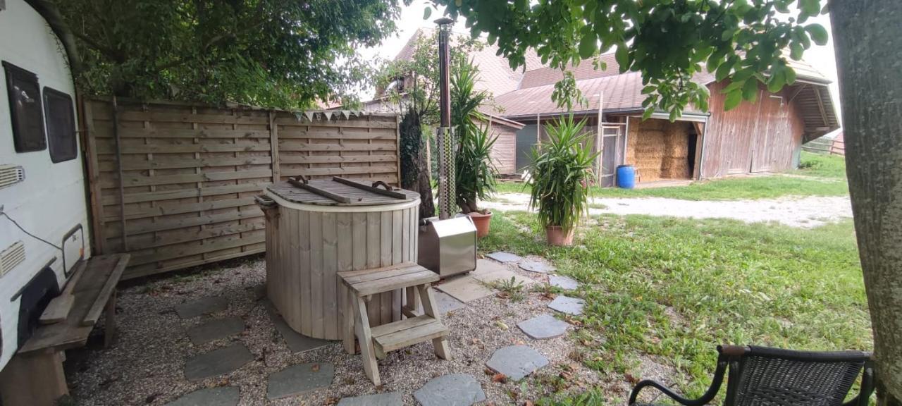 Uelis-Stoeckli-Gaestezimmer Auf Bauernhof Mit Billiard Und Alpakatrekking Meikirch Екстериор снимка